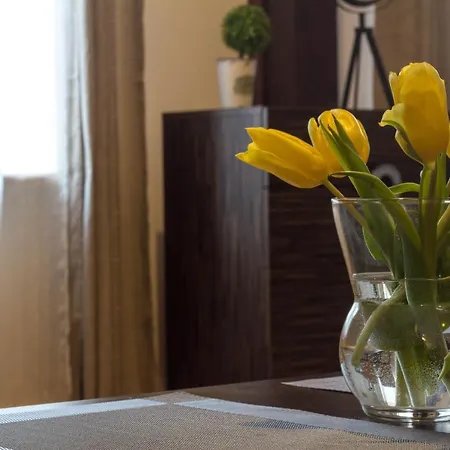 Old Town Apartment Krakow
