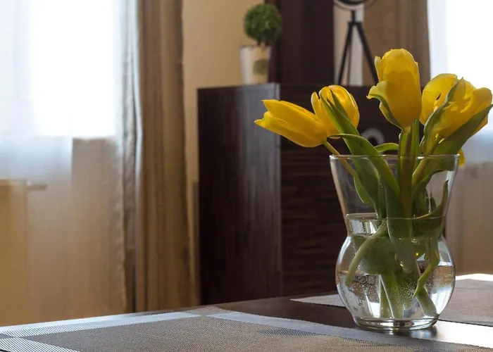 Old Town Διαμέρισμα Krasków